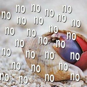 Meet your Posher, Kat